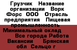 Грузчик › Название организации ­ Ворк Форс, ООО › Отрасль предприятия ­ Пищевая промышленность › Минимальный оклад ­ 25 000 - Все города Работа » Вакансии   . Брянская обл.,Сельцо г.